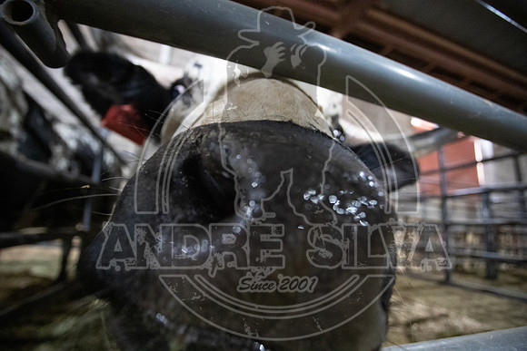 2021_Jan_01_ABBI_011