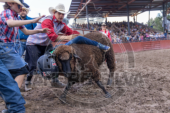 2024 Eagle_Mutton busting_2474-AndreSilva