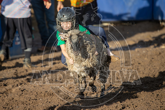 2024 Eagle_Mutton Busting_1577-AndreSilva