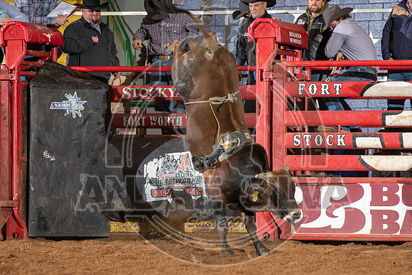 2021_Jan_02_ABBI_432