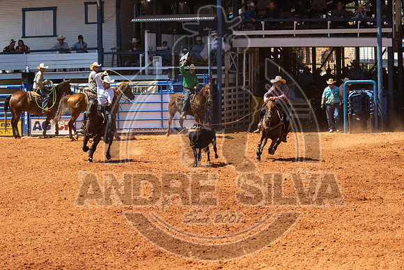 2024_July_02_Team_Roping_312