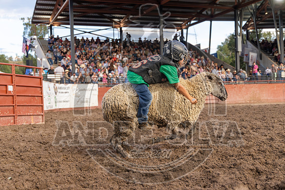 2024 Eagle_Mutton Busting__2580-AndreSilva
