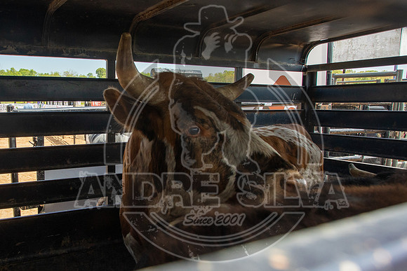 2021_May_08_PBR_Cassvile_TX_040