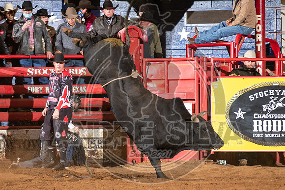 2021_Jan_02_ABBI_491