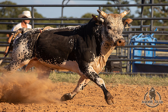2021_Aug_11_Silvano_Alves_137