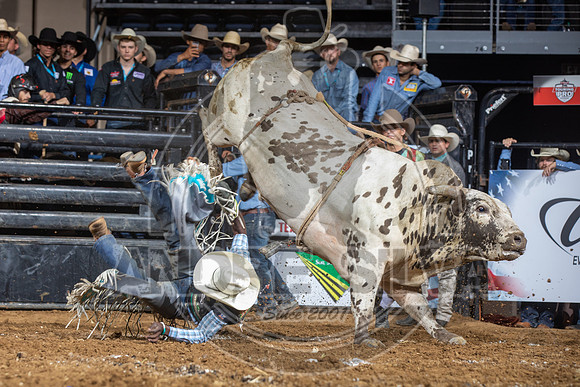 08_03_19_Allen_TX_PBR_314_Silva