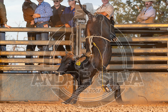 2024_Aug_21_Erick_OK_261