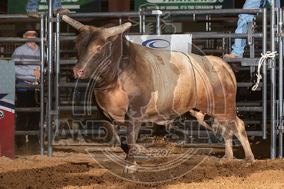 2020_Aug_29_ABBI_085