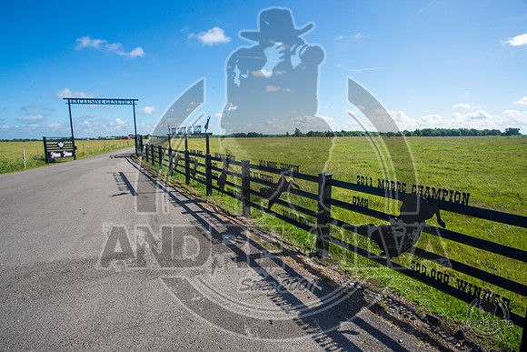 2020_July_18_ABBI_009