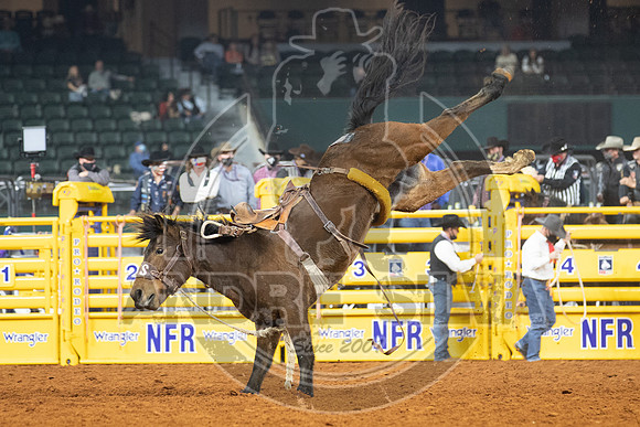 2020_Dez_11_WNFR_Saddle_Bronc_Rusty Wright_988