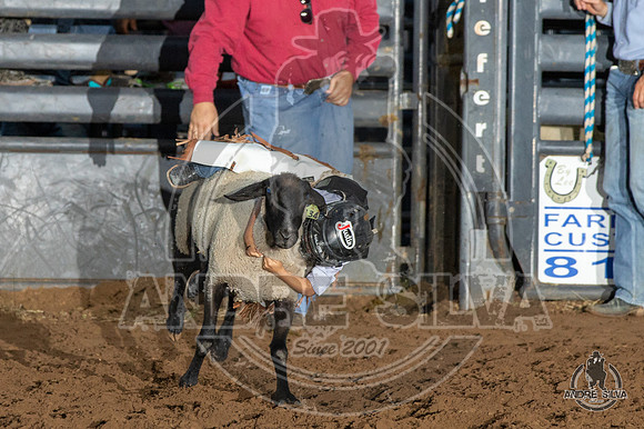 06_14_19_Cleburne__263_Silva