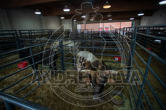 2021_Jan_01_ABBI_016