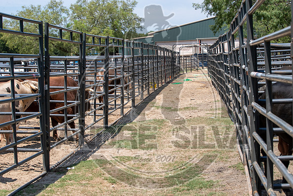 2020_Aug_29_ABBI_017