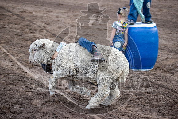24_July_25_Eagle_CO_021