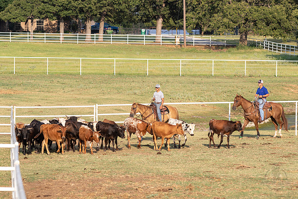 08_05_19_Vieira_Ranch_015_Silva