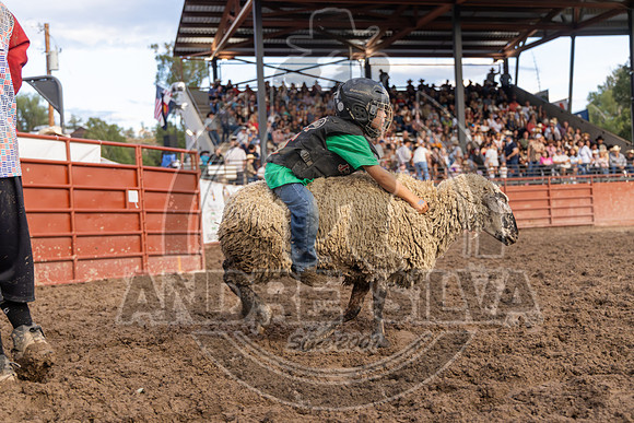 2024 Eagle_Mutton Busting__2579-AndreSilva