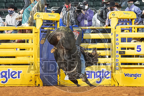2020_Dez_11_WNFR_Bull_Riding_Ky Hamilton_1230