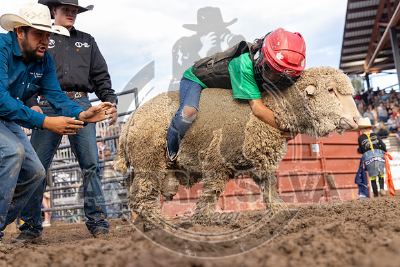 2024 Eagle_Mutton Busting__2587-AndreSilva