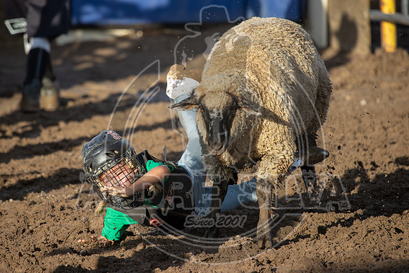 2024 Eagle_Mutton Busting_1574-AndreSilva