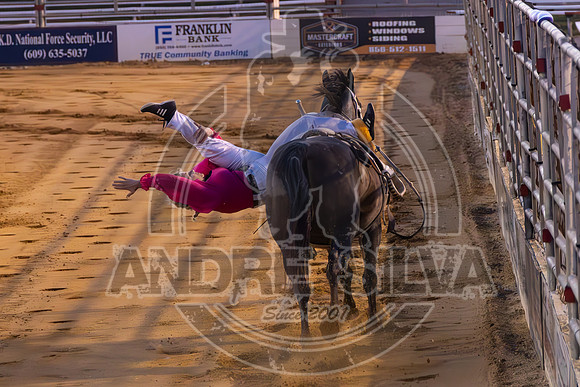 2024 Cowtown Rodeo_R2_R3_XTREME BULLS_AndreSilva_637