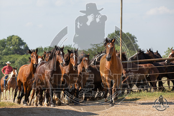 06_14_19_Cleburne__234_Silva