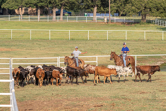 08_05_19_Vieira_Ranch_017_Silva