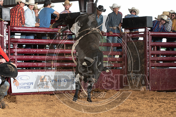 20_May_09_ABBI_244