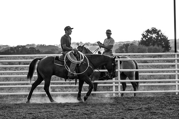 08_05_19_Vieira_Ranch_006_Silva