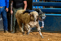 2020_06_13_Mesquite__020_Silva