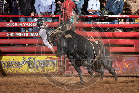 2021_Jan_01_ABBI_254