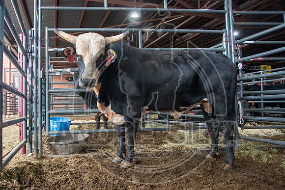 2021_Jan_01_ABBI_004