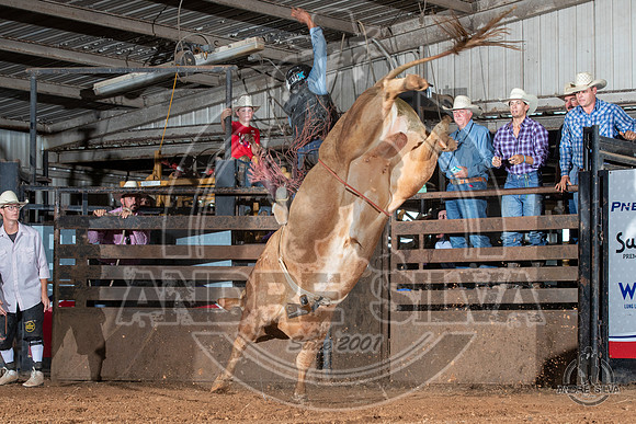 2020_July_18_ABBI_121