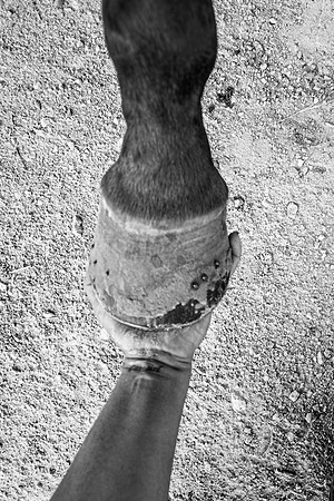 2020_July_25_PatyCowgirl_127