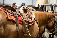 06_08_19_Mesquite_016_Silva