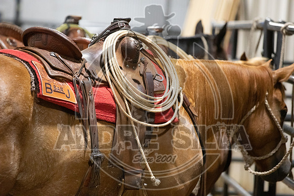 06_08_19_Mesquite_016_Silva