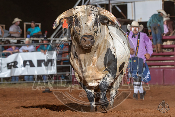 2020_Aug_08_Bridgeport_TX_142