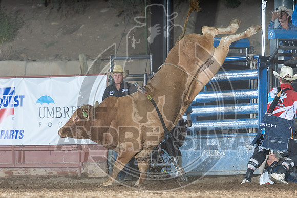 250726_Eagle_CO_Colt_Rohring_BR_AS_188