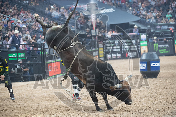 2021_Nov_07_Las_Vegas_NV_111