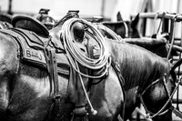 06_08_19_Mesquite_017_Silva
