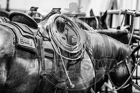 06_08_19_Mesquite_017_Silva