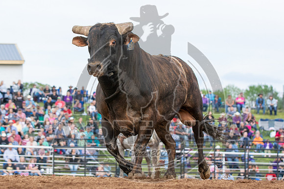 2021_May_08_PBR_Cassvile_TX_392