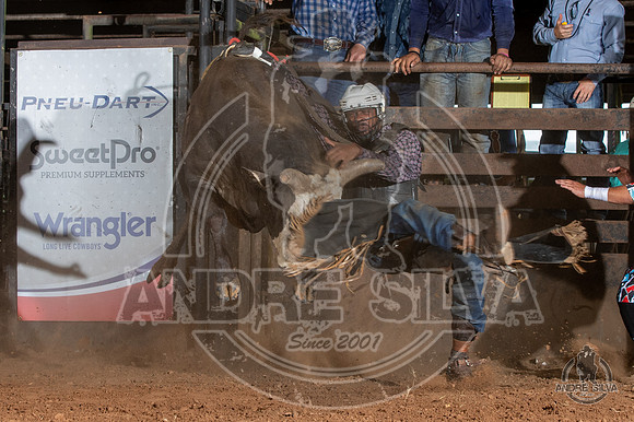2020_July_18_ABBI_154