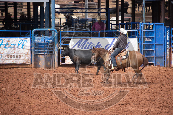 2024_July_06_Ranch_Horse_Competition_3836