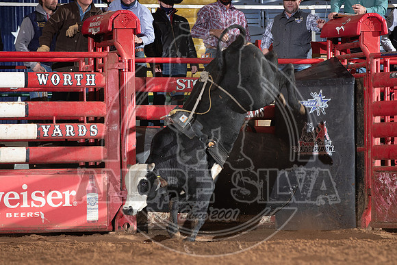 2021_Jan_01_ABBI_157