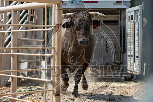 2020_Aug_29_ABBI_027