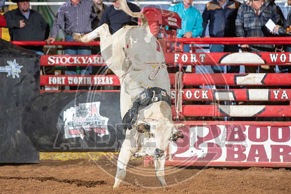 2021_Jan_02_ABBI_429