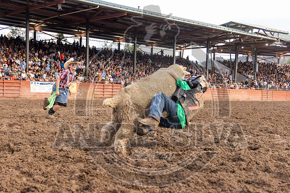 2024 Eagle_Mutton Busting__2592-AndreSilva