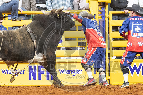 2020_Dez_11_WNFR_Bull_Riding_Dustin Boquet_1228