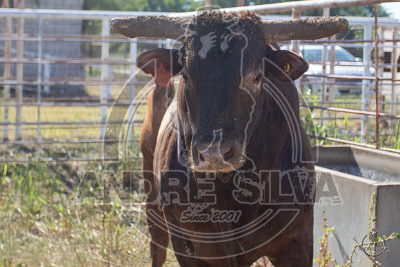 2020_Aug_08_Bridgeport_TX_004