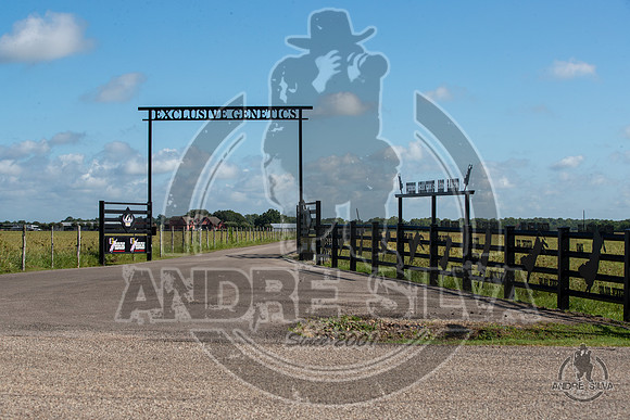 2020_July_18_ABBI_002